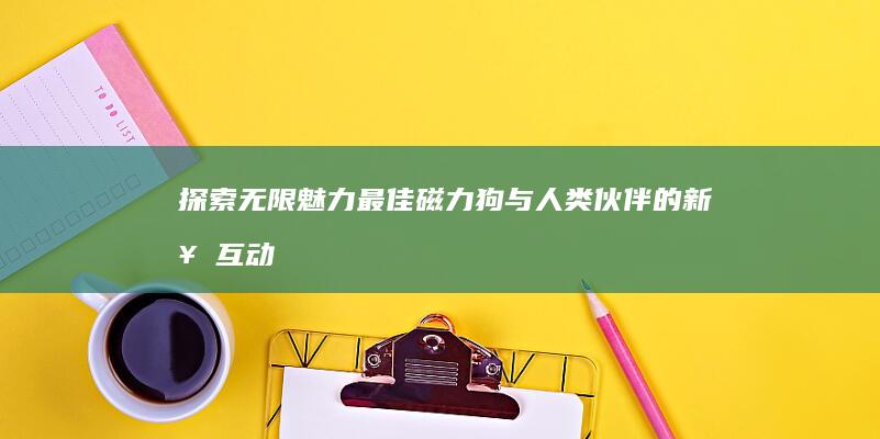 探索无限魅力：最佳磁力狗与人类伙伴的新奇互动